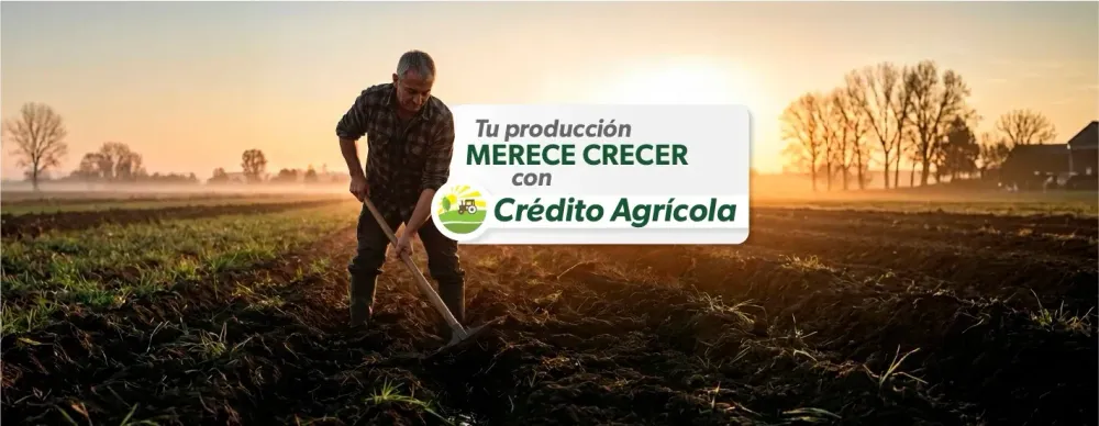 WhatsApp Image 2026-03-04 at 08.46.36 (3).webp